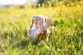 Feet of little girl in yellow field with flowers