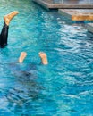 Feet looking out upside down from swimming pool. Summe fun vacation Royalty Free Stock Photo