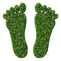 Feet made from green leaves isolated on white background. 3D render. Royalty Free Stock Photo