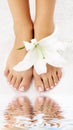 Feet with madonna lily and water