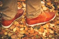 Feet Man walking on fall leaves Outdoor Royalty Free Stock Photo