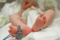 Feet of new born baby sick in incubator chamber Royalty Free Stock Photo