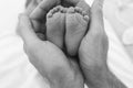 Feet of a newborn baby boy wrapped in the arms of his father Royalty Free Stock Photo