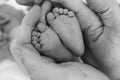 Feet of a newborn baby boy wrapped in the arms of his father Royalty Free Stock Photo