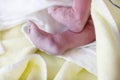 Feet of Newborn baby child seconds and minutes after birth lying on towel Royalty Free Stock Photo