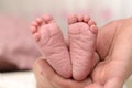 Feet of a newborn baby in the hands of the father Royalty Free Stock Photo