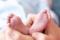 Feet of a newborn baby in mom`s palms close. Close up of female hands holding the feet of a newborn baby. Feet of a Royalty Free Stock Photo