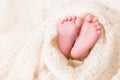Feet of Newborn Baby, New Born Kid Legs