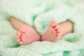 Feet of Newborn Baby, New Born Kid Legs in Woolen Blanket