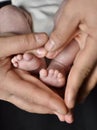 Feet of a newborn baby in the palms Royalty Free Stock Photo