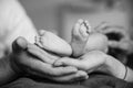 Feet of a newborn baby in parents hands. Mum and Dad hug their baby& x27;s legs. Royalty Free Stock Photo