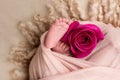 Feet of the newborn baby with pink rose flower, Mother`s day