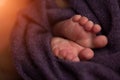 Feet of a newborn baby on a purple background. selective focus Royalty Free Stock Photo