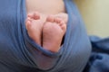 Feet of a newborn baby, toes in the hands of mom and dad, hands and nails of a child, the first days of life after birth Royalty Free Stock Photo