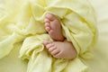 Feet of a newborn baby, toes in the hands of mom and dad, hands and nails of a child, the first days of life after birth, yellow Royalty Free Stock Photo