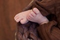 Feet of a newborn baby, toes  and nails of a child, the first days of life after birth, scaly skin Royalty Free Stock Photo