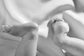 Feet of a newborn baby on white silk background and a white feather. Little baby legs.Black and white photo Royalty Free Stock Photo