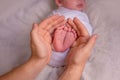 Feet of the newborn in the hands of the father. Royalty Free Stock Photo