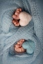 Feet of newborn twins. Two pairs of baby feet in a blue blanket. Pink and blue knitted hearts.