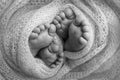Feet of newborn twins. Two pairs of baby feet in a knitted blanket.