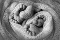 Feet of newborn twins Two pairs of baby feet in a knitted blanket, knitted heart