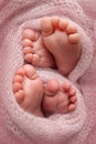 Feet of newborn twins. Two pairs of baby feet in a pink knitted blanket. Royalty Free Stock Photo