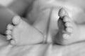 Feet of a one months old baby wearing diapers lying in bed Royalty Free Stock Photo