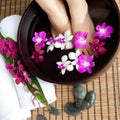 Feet in orchid spa bowl Royalty Free Stock Photo