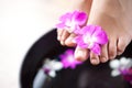 Feet in orchid spa bowl Royalty Free Stock Photo