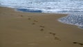 Feet prints on beautiful beach Royalty Free Stock Photo