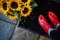 feet in red shoes beside sunflower bouquet on a black welcome mat