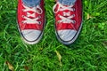 Feet in sneakers in green grass Royalty Free Stock Photo