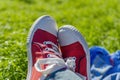 Feet in sneakers in green grass Royalty Free Stock Photo
