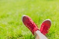 Feet in sneakers in green grass