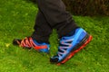 Feet in sneakers on green grass Royalty Free Stock Photo
