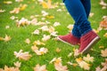 Feet sneakers walking on fall leaves Royalty Free Stock Photo