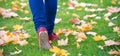 Feet sneakers walking on fall leaves Royalty Free Stock Photo