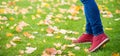 Feet sneakers walking on fall leaves