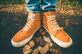 Feet sneakers walking on fall leaves Outdoor Royalty Free Stock Photo