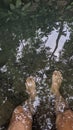 Feet soaking in a very clear river