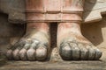 Feet of the Standing Buddha at Wat Mahathat Royalty Free Stock Photo