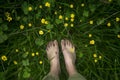 feet standing in a meadow surrounded by buttercups