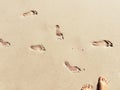 Feet and step marks on sunny sand beach by sea. Summer travel photo Royalty Free Stock Photo