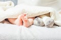 Feet under the blanket Royalty Free Stock Photo