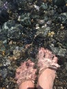 Feet under the sea. Foots immersed in water, stones under water. Mobile photography Royalty Free Stock Photo