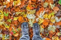 Feet with walking shoes on a background of fallen colorful autumnal leaves, forest walk