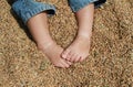 Feet white baby sitting on wheat