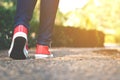 Feet women in the walking on the park Royalty Free Stock Photo