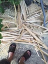 Feet and wood