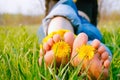 Feet of Young Woman on the Grass adorned with Dandelions Royalty Free Stock Photo